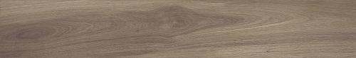 Gardenia Orchidea Just Color Brown Rett. 20x120 см Напольная плитка